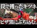 罠で獲った狐をピザ窯にぶち込んで食うだけ。