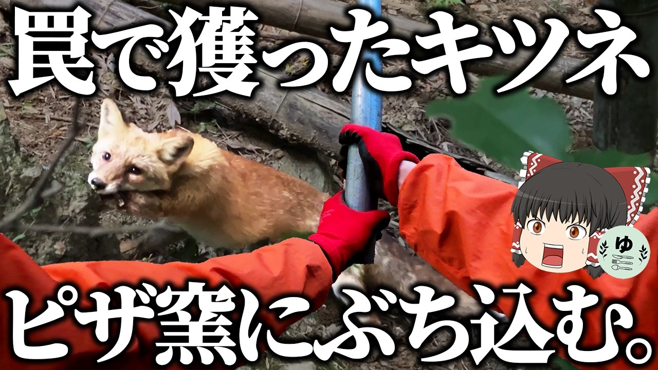 All you have to do is catch a fox in a trap, throw it into a pizza