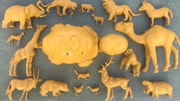 Động vật mầu và làm sạch động vật, bò, dê, hươu cao cổ, ngựa vằn, khỉ, rùa, voi, hổ, linh dương