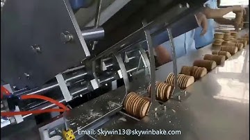 Skywin On Edge Packing Machine Automatic for Packing Biscuit Snack Price