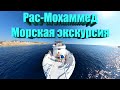 Рас-Мохаммед на яхте, Египет, экскурсия  | 4K |