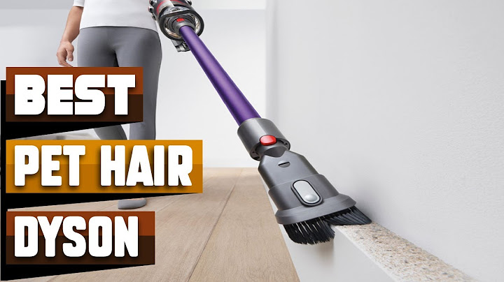 What is the best dyson for pet hair