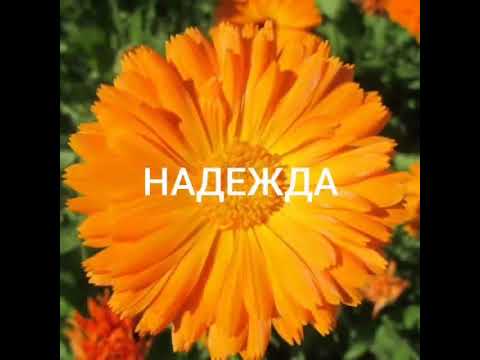 Вера,Надежда,Любовь с именинами!