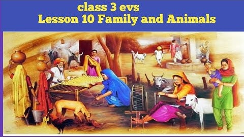class 3 evs lesson 10 Family and Animals