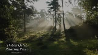 Musik Sholawat Relaksasi Penyejuk Hati ( Thibbil Qulub Relaxing Piano )