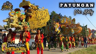 Download Lagu Dalang Viral ❗ PAYUNGAN VOC. MELLY - PUTRA NAFITA CAYA (PNC) || DEPONG KALER PARIGI MP3