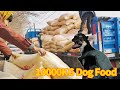 Time Racing for Stocking up Dog Food While These Doggies Get Spoiled at New Homes