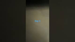 @Fynoxic @Fynoxic 1v1 me