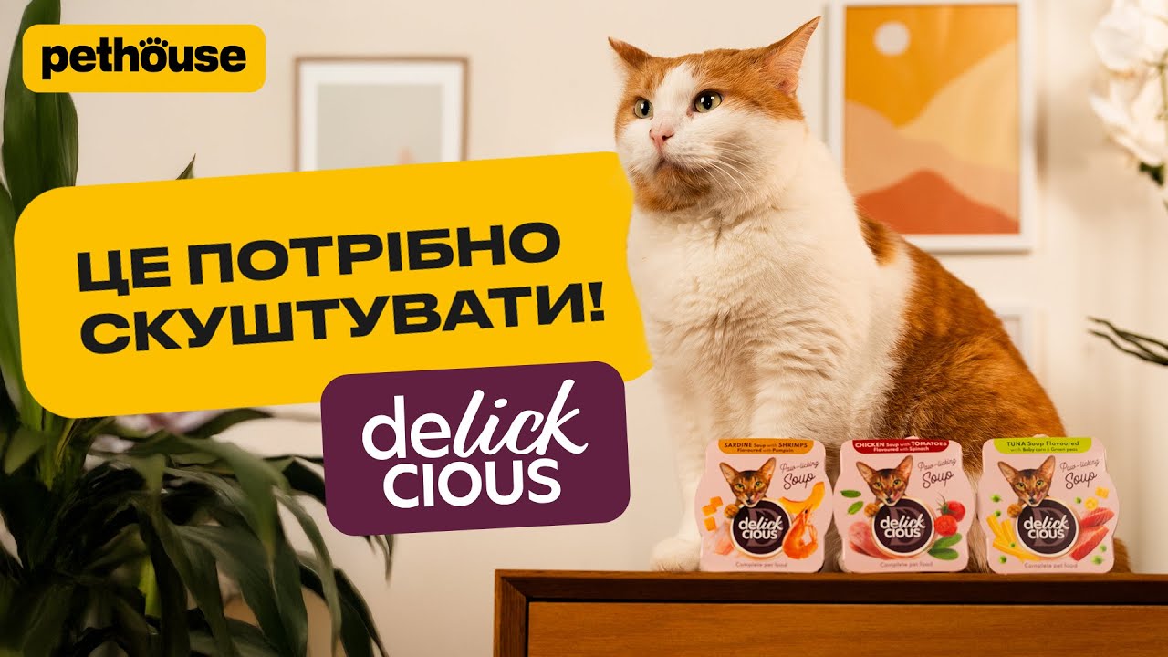 Delickcious Cat Adult Soup Sardine & Shrimps Flavored with Pumpkin