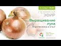 Выращивание лука. Агротехника и опыт | Прямой эфир