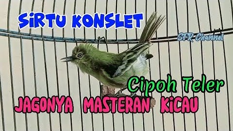 SIRTU/CIPOH #super JAMTROK sangat memancing emosi #BUKTIKAN @SRF Channel