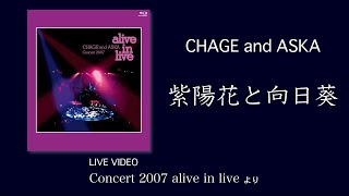 LIVE] 紫陽花と向日葵 / CHAGE and ASKA / Concert 2007 alive