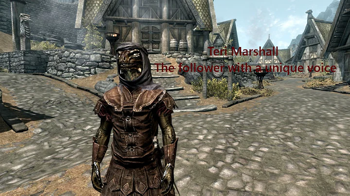 Skyrim - Teri Marshall the unique follower