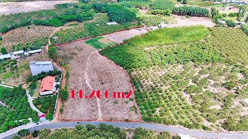 Bán đất 3 mặt tiền đường DT 14.206m2 có 300m thổ cư giá đầu tư | Hòa Hội Xuyên Mộc BRVT
