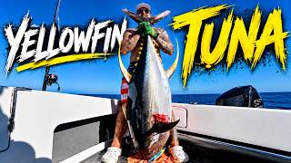 Information 65KG+ YELLOWFIN | NSW OFFSHORE FISHING Guide