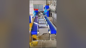 fish grader, fish weigher, fish weight sizing machine, automatic fish sorter, fish processing #fish
