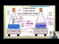 LAW OF CONSERVATION OF MASS AND LAW OF DEFINITE PROPORTIONS