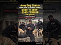 Army dog center Okara