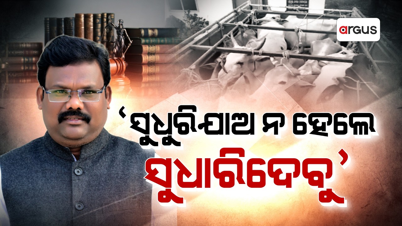 ଗୋ ମାଫିଆ ସକିଲ୍‌ ଉପରେ NSA | NSA Slapped on Cattle Mafia Shakil Khan | Gokulananda Mallik | Argus News