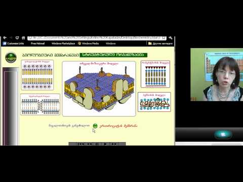 10 ლექცია. რა არის ცილა? (2 ნაწილი)