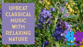Relaxing Nature Scenes with Upbeat Classical Music  2 min