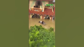 Người đàn ông tử nạn vì cố cứu chú chó khỏi dòng nước lũ