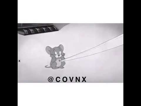 وين الكلي فديك عمري وحياتي الوصف