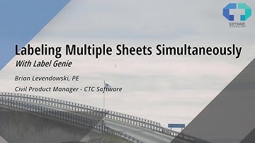 Labeling multiple sheets simultaneously with Label Genie