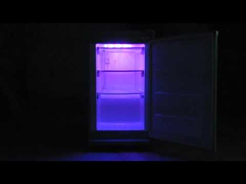 Bread and circuses/პური და სანახაობა (2016)