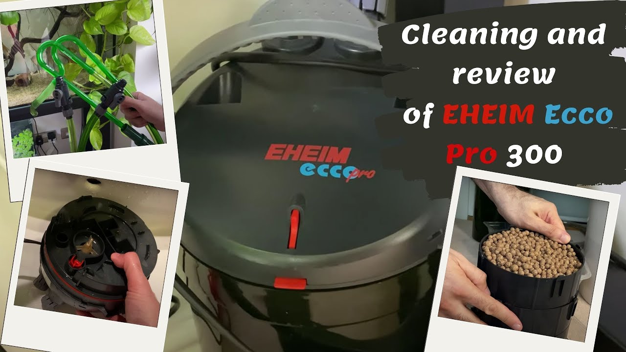Outlook Ansøgning forberede Cleaning and review of EHEIM Ecco Pro 300 - YouTube