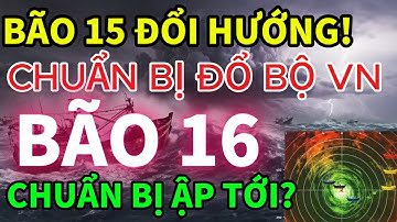 ⚠️ KHẨN: BÃO 15 ĐỔI HƯỚNG BẤT THƯỜNG! NGUY CƠ BÃO 16 RẤT CAO!