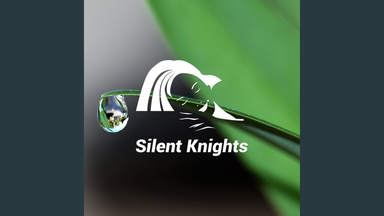 Sleepy Natural Stream