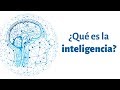 Qué es la inteligencia y cómo ser más inteligente