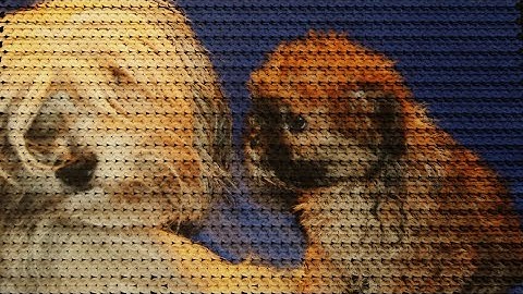 Knitting4 blend0006 0300