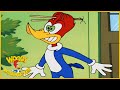 Woody Woodpecker Show | Crouching Meany, Hidden Woodpecker | Full Episode | Videos For Kids