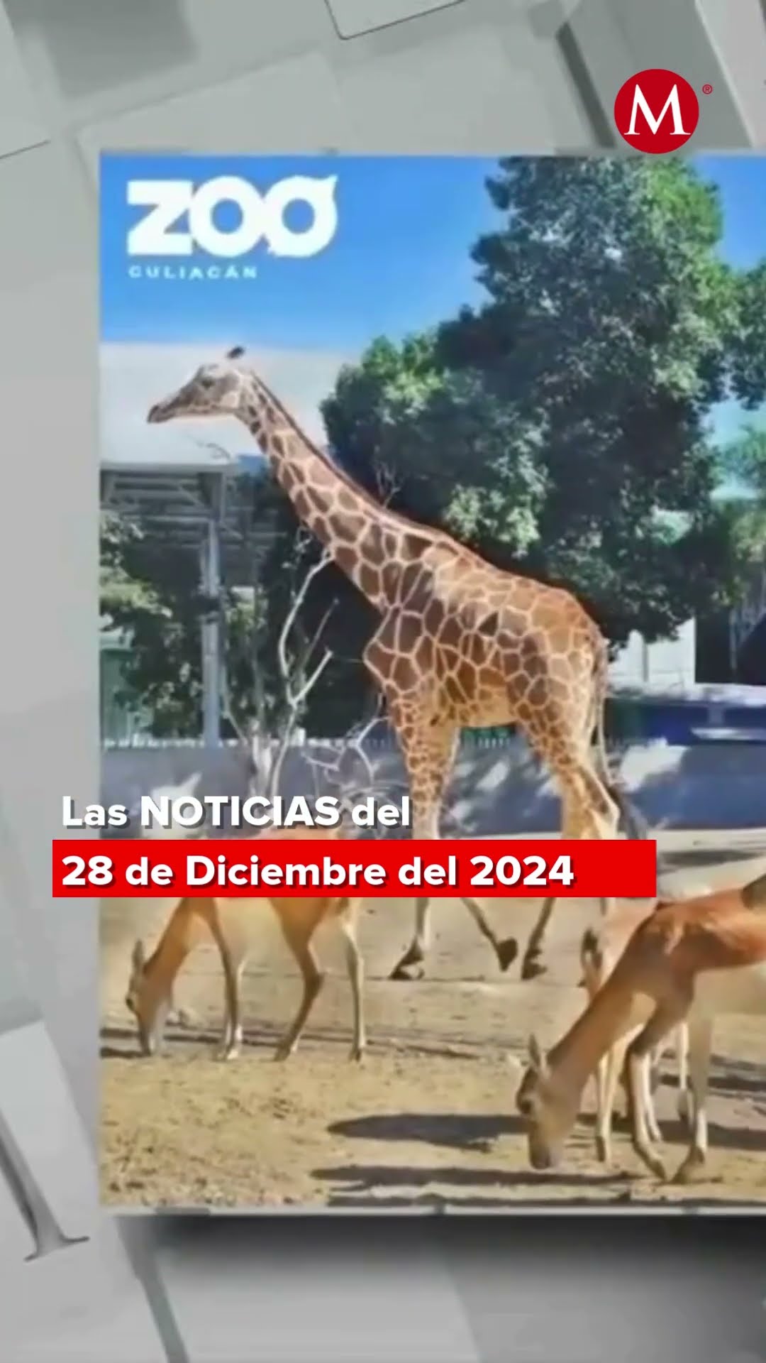 Resumen de las NOTICIAS de HOY con Alejandro Domínguez