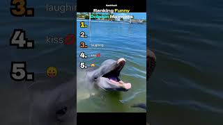 FUNNY DOLPHIN Moments Ranked | Dolphin Core #funny #ranked #animals