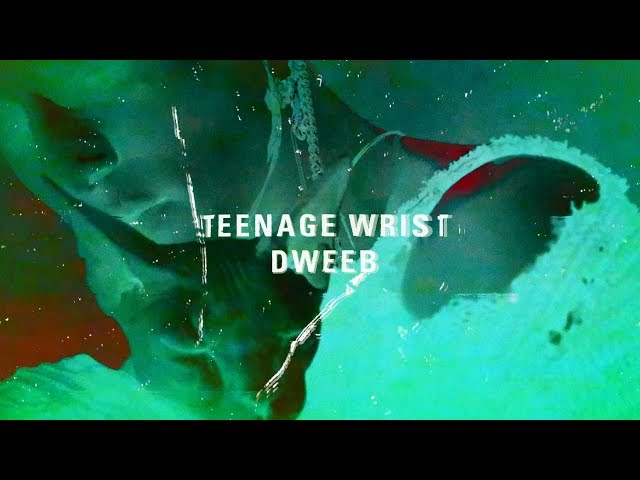 Teenage Wrist - Dweeb
