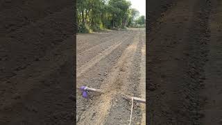 हाइब्रिड मिर्ची की बेड को समतल करने का न्यू जूगाड विडियो देखिए कृषि vegetables