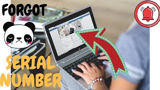 how to get serial number of computer/laptop