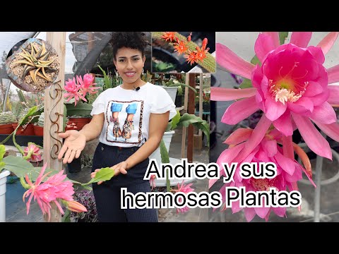 TOUR POR EL JARDIN DE ANDREA | PLANTAS ES PLENA FLORACION 2022