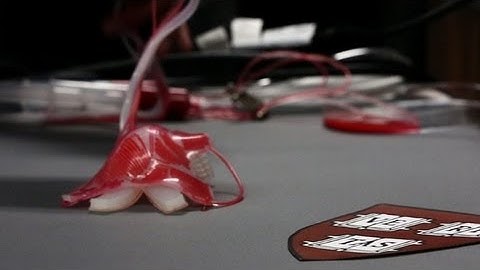 Meet squid-bot, a robot that camouflages itself