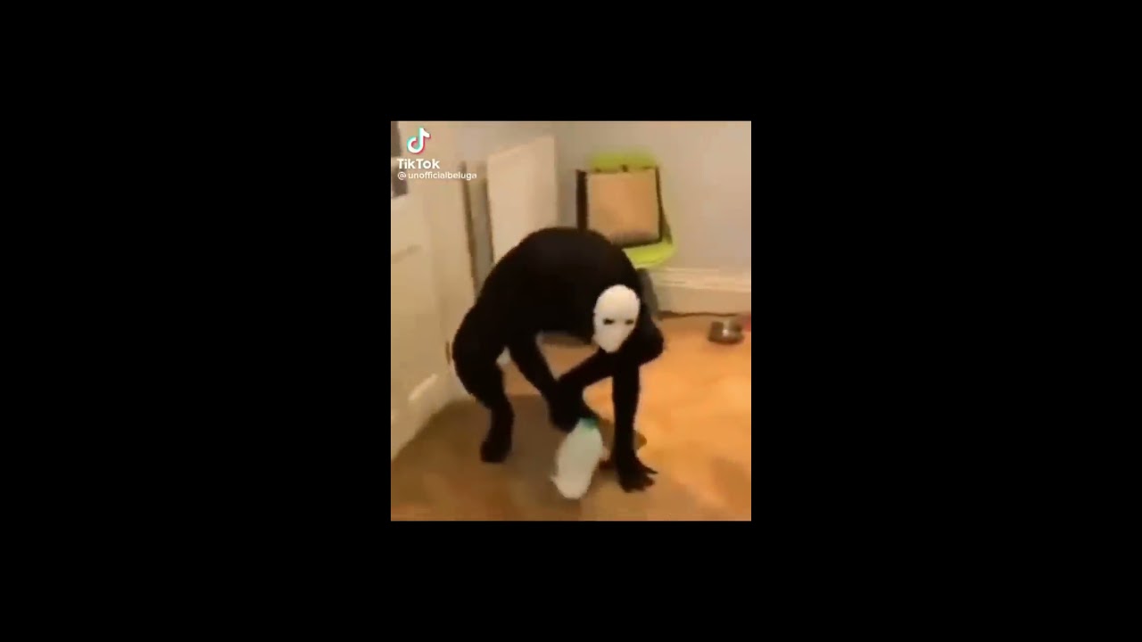 Random Memes I Found On TikTok Pt 2