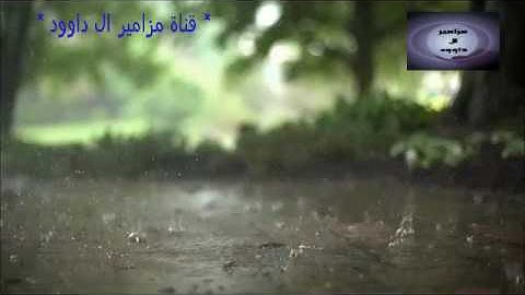 رعد محمد الكردي سورة الفاتحة مزمار من مزامير ال داوود