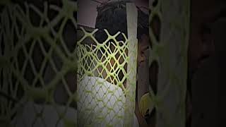 Mirzapur Munna Bhai Kalin Bhaiya