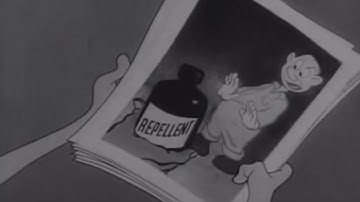 Room 13 - “Isolation In Style” (Official Promo Video)