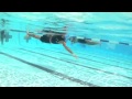 Total immersion swimming with shane alton eversfield