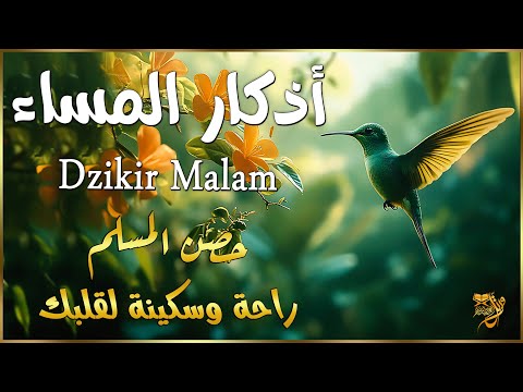 أذكار المساء بصوت القارئ علاء عقل       