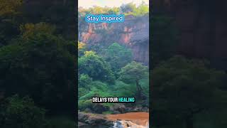 4 Things you have to stop doing #realoflife #motivational Profile