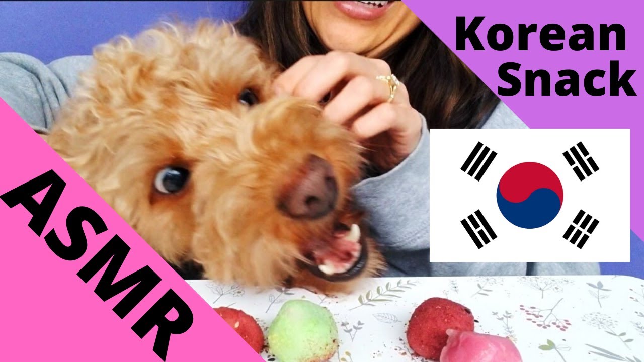 ASMR KOREAN RICE CAKE Eating Songpyeon Turns Into Tipsy ASMR YouTube
